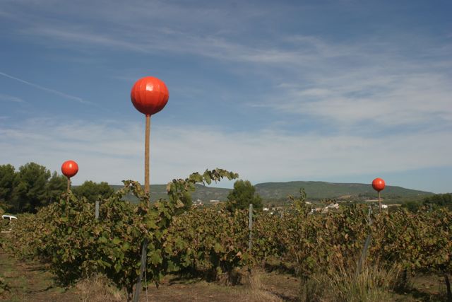 El color aplicado a las viñas.