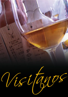 Visítanos y cata nuestros vinos Porcellanic